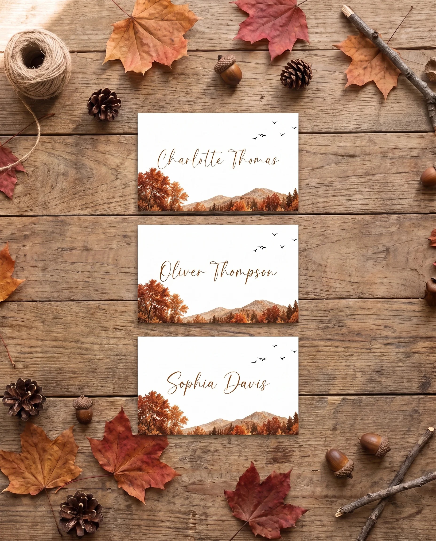 Timberline Reverie wedding place cards — several place cards shown flat under soft natural light, wedding place cards